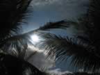 DCLMagic01242009 368.jpg (96kb)